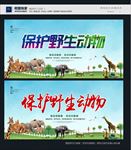 保护野生动物