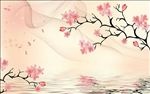 百合 小花