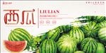 西瓜海报