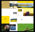 摄影画册  油菜花 朱鹮