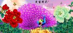 花开富贵孔雀