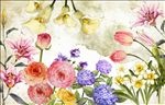 春暖花开