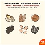 手绘坚果干果杏仁矢量素材