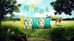减肥品牌创意合成海报