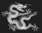 龙灰度图