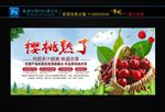 樱桃