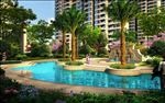 游泳池热带植物景观住宅效果图