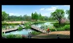 河道设计水景景观水生植物设计图