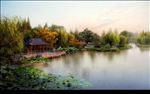公园湖水景杨柳景观建筑效果图
