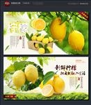 柠檬