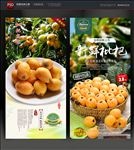 枇杷