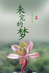 意境封面