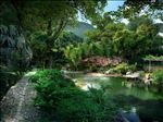 山林竹林高山流水水景景观图