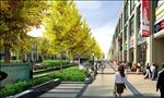 商业街广告银杏树道路设计效果图