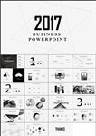 欧美商业计划书产品介绍PPT