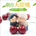 152主图宝贝设计描述