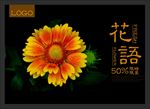 花朵 黄色花朵