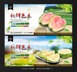 芭乐