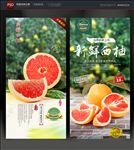 西柚