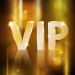 vip logo标志