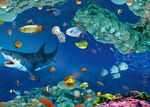海底背景墙