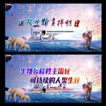 国际生物多样性日