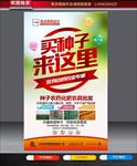 种子