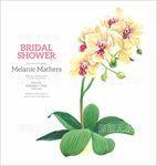贺卡结婚礼请柬手绘花纹植物文艺
