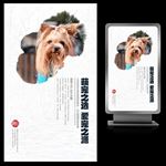萌宠之选爱宠之源宠物海报设计