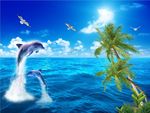 海豚椰子树风景图