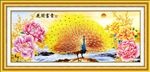 花开富贵 金孔雀