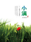 二十四节气小满