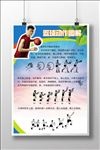 校园文化篮球动作图解展板