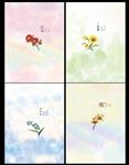 花语中性本本
