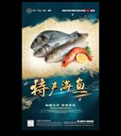 海鱼