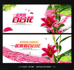 百合花