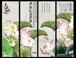 国画荷花