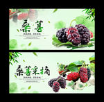 桑葚