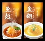 鱼翅