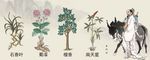中药