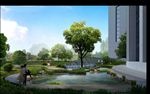 水池绿化景观设计图