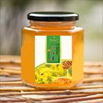 蜂蜜标签