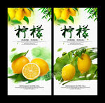 柠檬