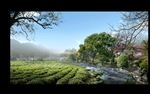 茶花农田流水景观设计图