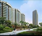 住宅区后花园景观效果图
