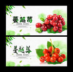蔓越莓