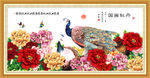 牡丹花