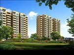 住宅小区后山草地景观效果图
