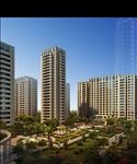 高层住宅区内庭绿篱景观效果图