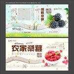 桑葚